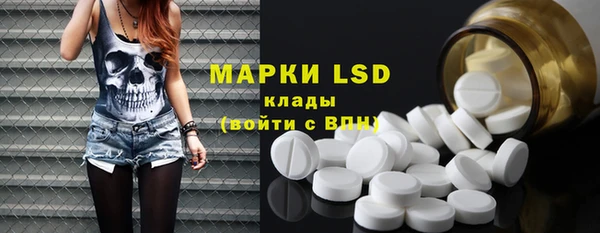 ПСИЛОЦИБИНОВЫЕ ГРИБЫ Баксан
