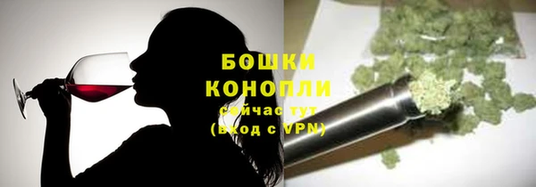 ПСИЛОЦИБИНОВЫЕ ГРИБЫ Баксан