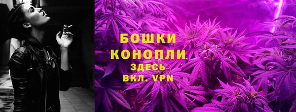 ПСИЛОЦИБИНОВЫЕ ГРИБЫ Баксан
