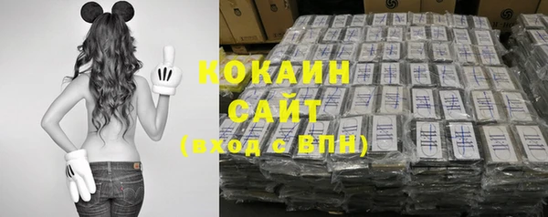 ПСИЛОЦИБИНОВЫЕ ГРИБЫ Баксан